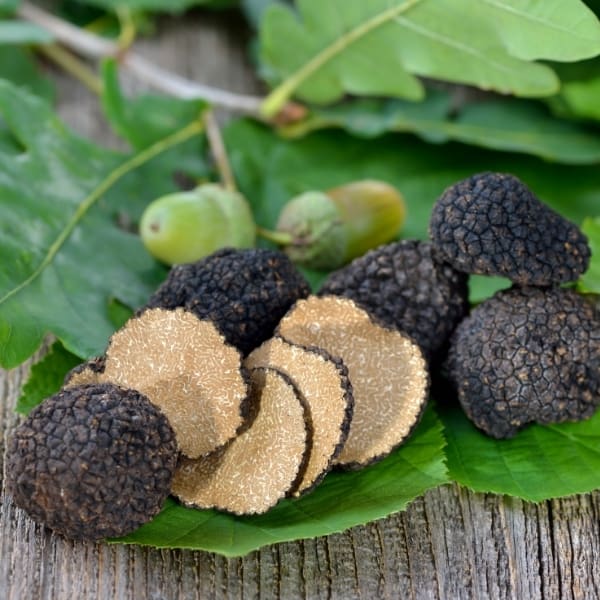 photo of black truffles representing black truffle pure olive oil