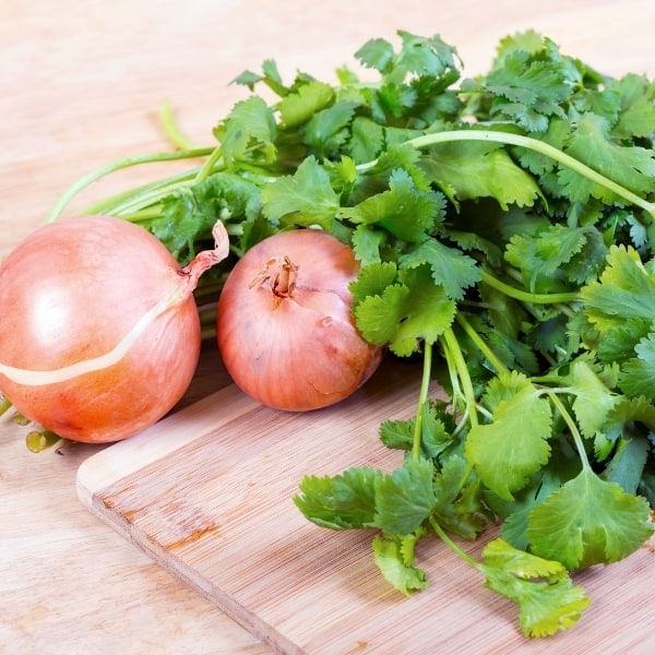 photo of cilantro and onions representing cilantro and roasted onion olive oil