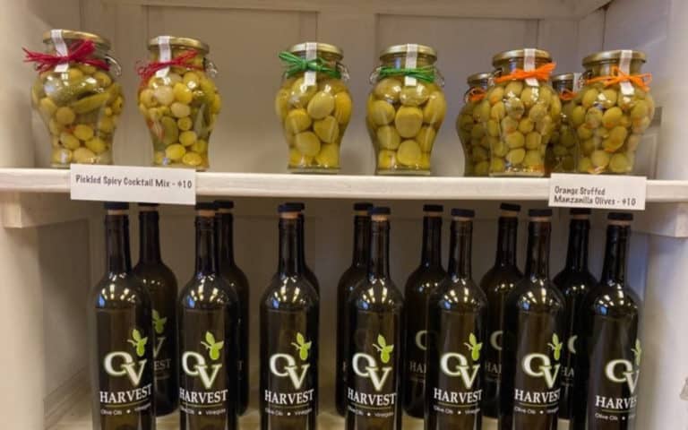 ov harvest gourmet olives in jars on shelf and ov harvest glass bottles on shelf