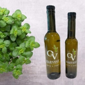A bunch of oregano and OV Harvest olive oil bottles representing Oregano Olive Oil