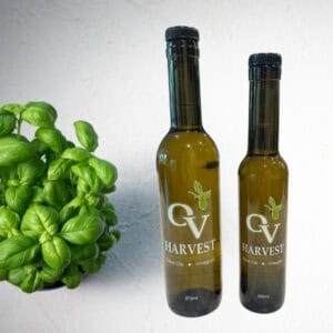 Basil leaves in a pot and OV Harvest olive oil bottles representing Basil Olive Oil