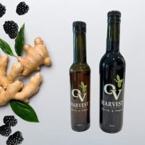 Blackberries, ginger slices and OV Harvest balsamic vinegar bottles representing Blackberry-Ginger Balsamic Vinegar